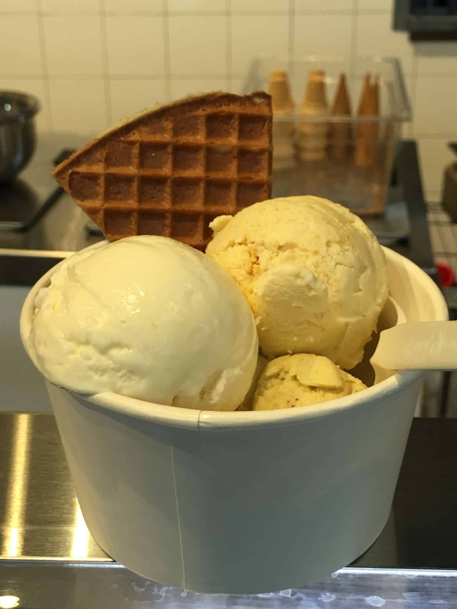 מקפיא גלידות לחברות